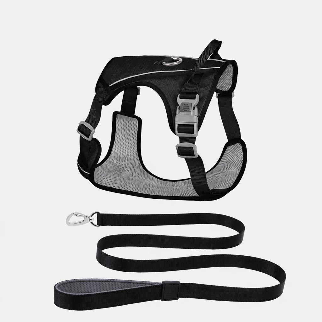 Lightweight Nylon Dog Harness and Leash Set