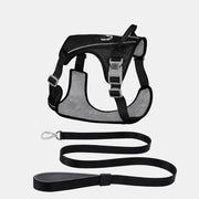 Lightweight Nylon Dog Harness and Leash Set
