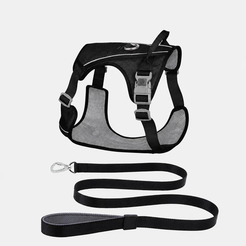 Lightweight Nylon Dog Harness and Leash Set