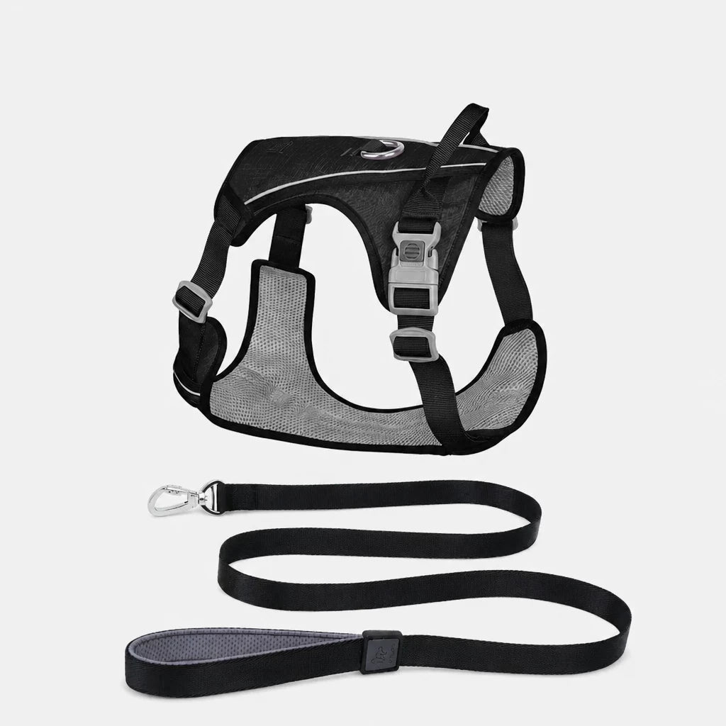 Lightweight Nylon Dog Harness and Leash Set