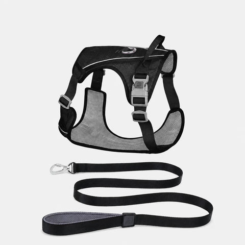 Lightweight Nylon Dog Harness and Leash Set
