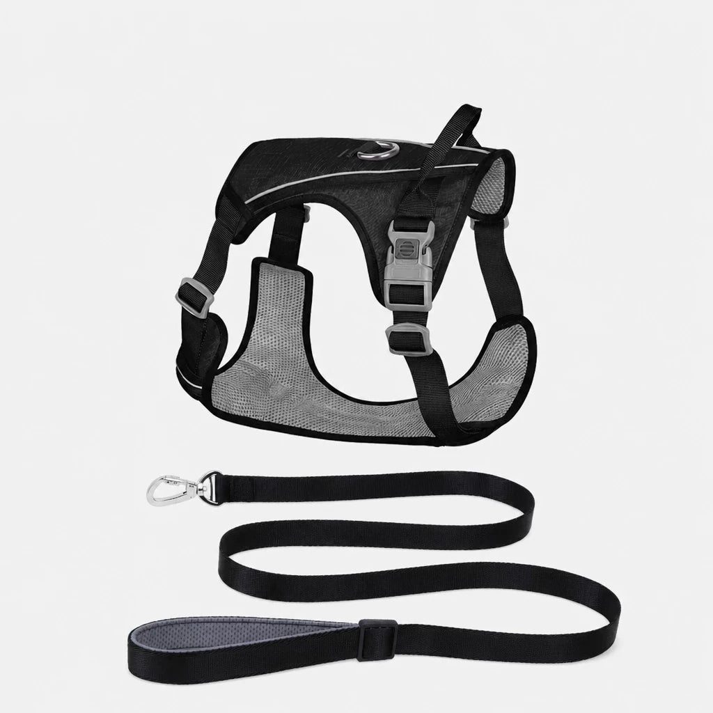 Lightweight Nylon Dog Harness and Leash Set