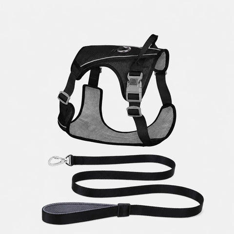 Lightweight Nylon Dog Harness and Leash Set