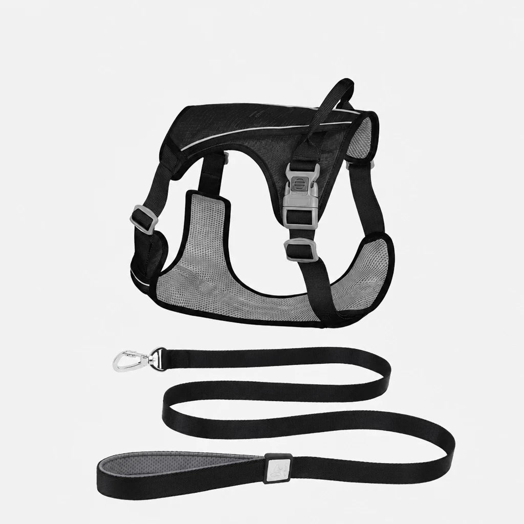 Lightweight Nylon Dog Harness and Leash Set