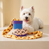 Boot-Shaped Snuffle Toy for Dogs
