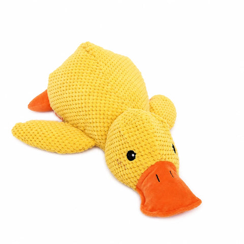 Plush Squeaky Dog Toys in Duck, Rope & Multi-Piece Styles