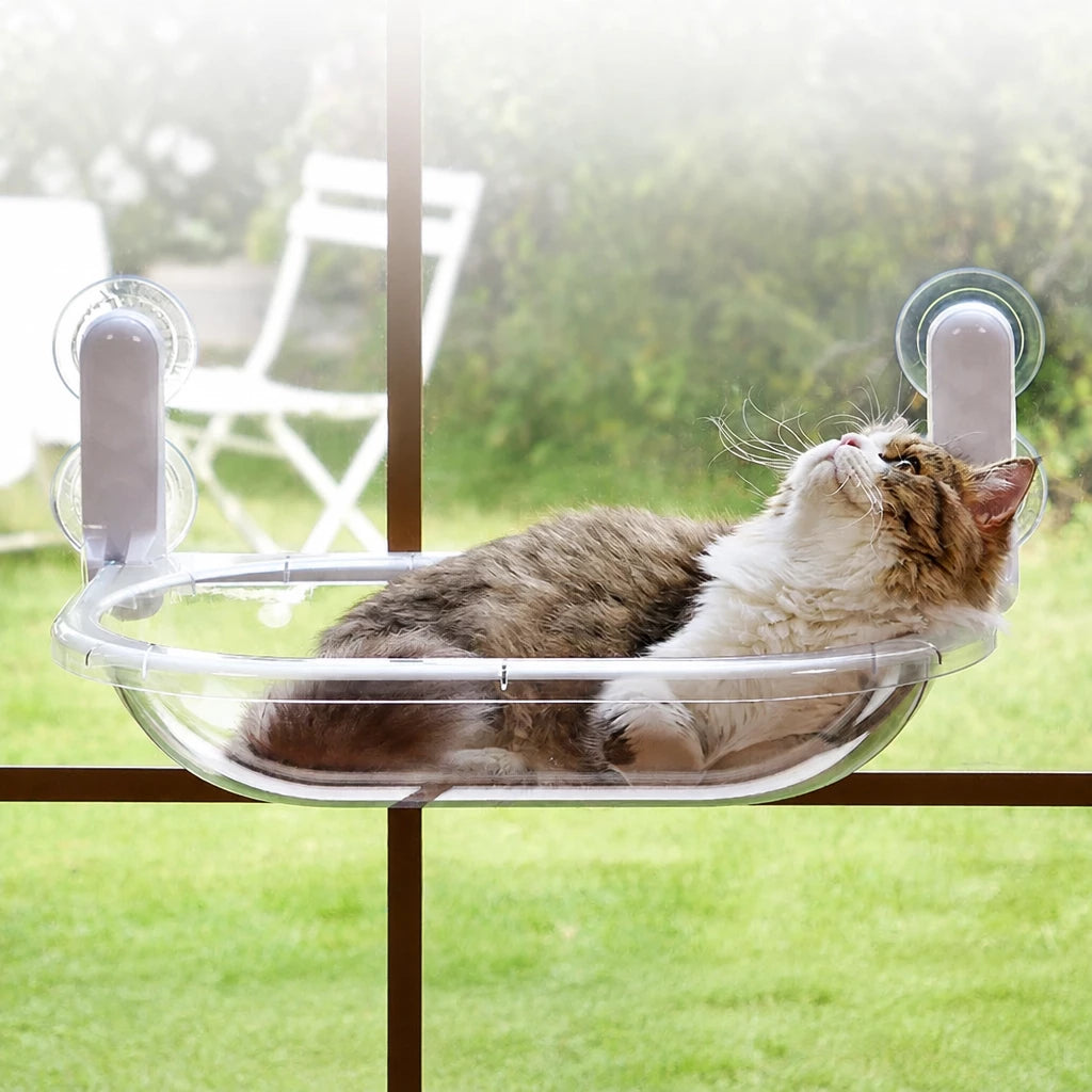 Transparent Foldable Capsule-Style Cat Window Hammock