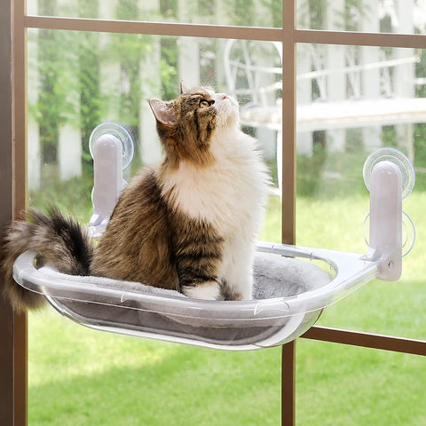 Transparent Foldable Capsule-Style Cat Window Hammock