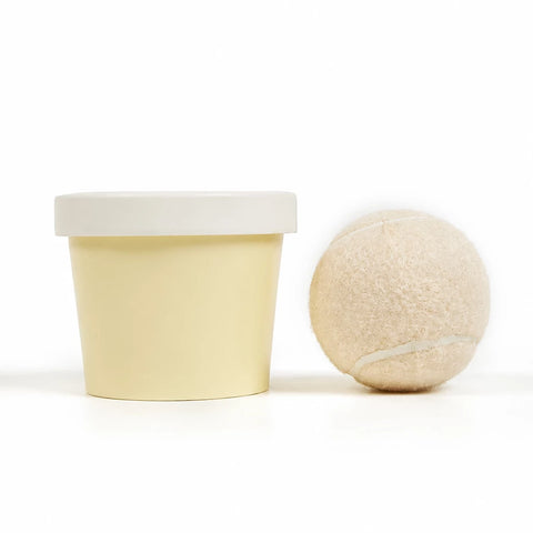 Ice Cream-Themed Interactive Dog Ball Toy