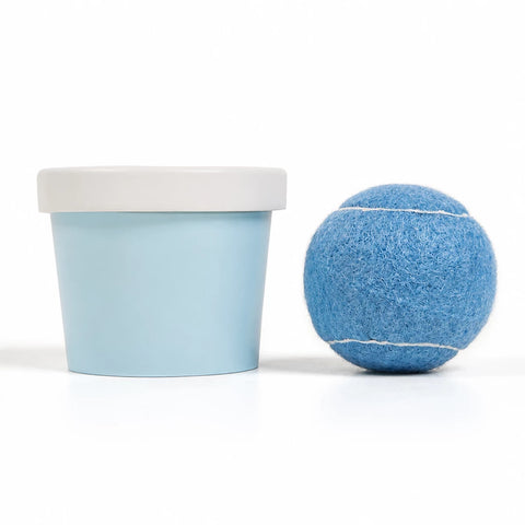 Ice Cream-Themed Interactive Dog Ball Toy