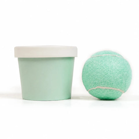 Ice Cream-Themed Interactive Dog Ball Toy