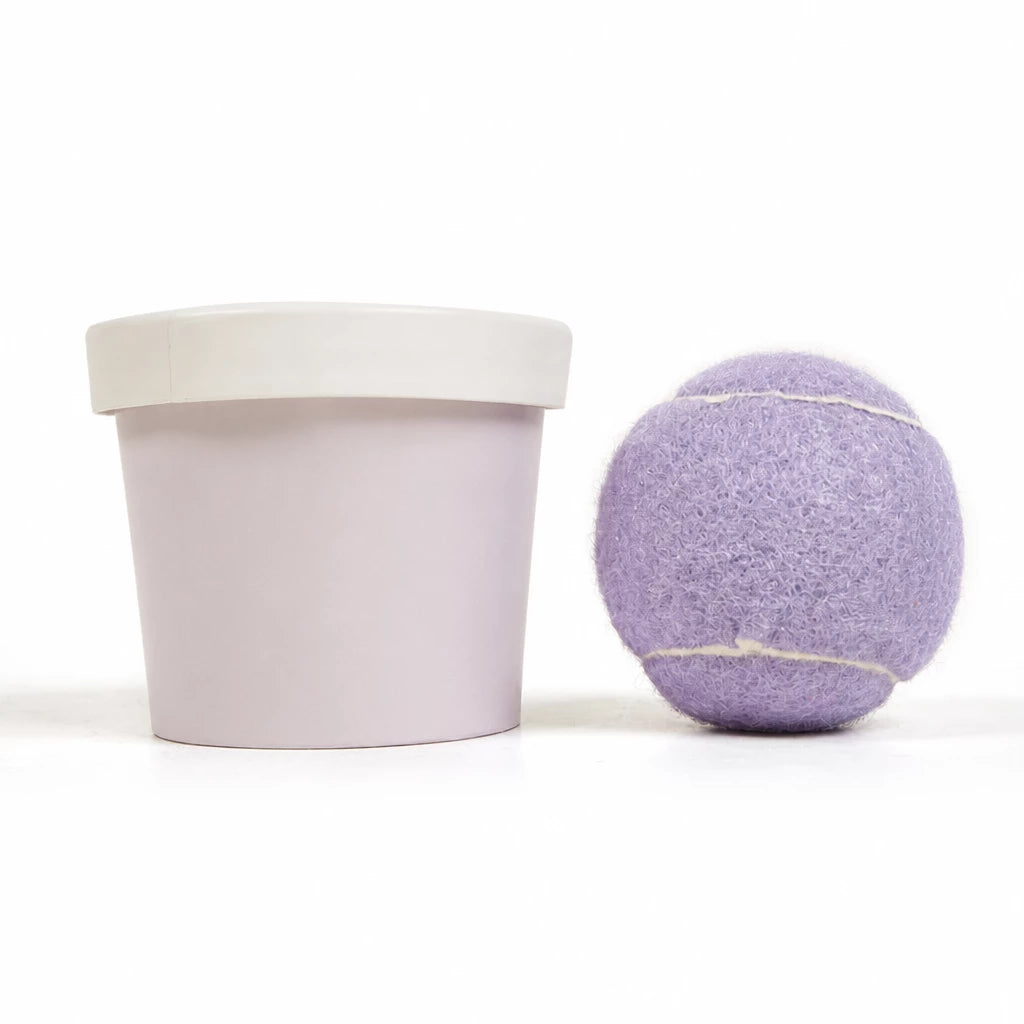 Ice Cream-Themed Interactive Dog Ball Toy