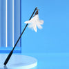 Interactive Cat Wand Toy with 6 Feather Attachments