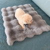 All-Season Pet Bed Mat for Cats and Dogs