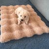 All-Season Pet Bed Mat for Cats and Dogs