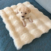 All-Season Pet Bed Mat for Cats and Dogs