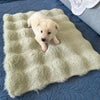 All-Season Pet Bed Mat for Cats and Dogs