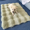 All-Season Pet Bed Mat for Cats and Dogs