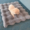 All-Season Pet Bed Mat for Cats and Dogs