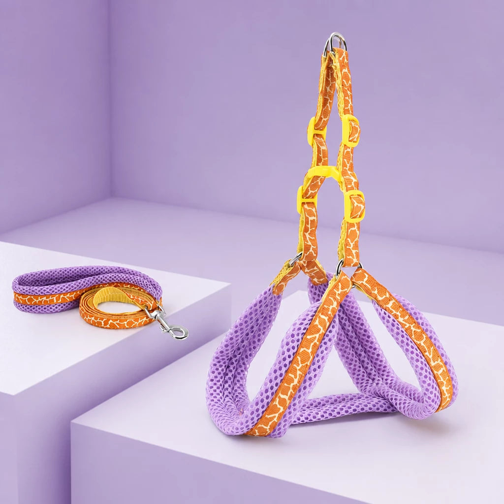 Small Dog Vest Harness and Leash Set