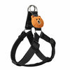 Adjustable Dog Harness and Handheld Leash