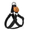 Adjustable Dog Harness and Handheld Leash
