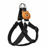 Adjustable Dog Harness and Handheld Leash
