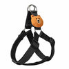 Adjustable Dog Harness and Handheld Leash