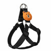 Adjustable Dog Harness and Handheld Leash