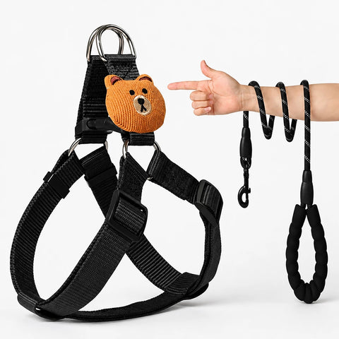Adjustable Nylon Dog Harness & Leash