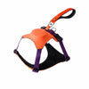 All-in-One Nylon Dog Harness with Retractable Leash