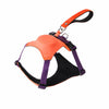 All-in-One Nylon Dog Harness with Retractable Leash
