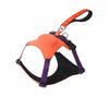 All-in-One Nylon Dog Harness with Retractable Leash