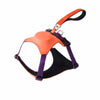 All-in-One Nylon Dog Harness with Retractable Leash