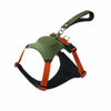 All-in-One Nylon Dog Harness with Retractable Leash