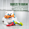 Latex Squeaky Dog Toy for Small and Medium Dogs