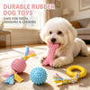 Dog Chew and Play Toys