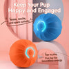 Interactive Squeaky Bouncing Ball Dog Toy