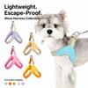 Y-Shaped Nylon Dog Harness and Leash