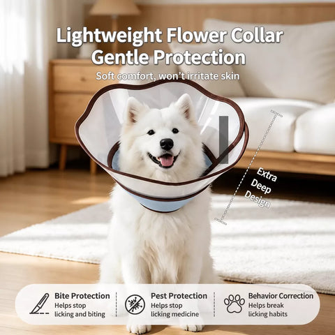Soft Nylon Recovery Cone for Dogs