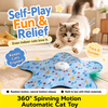 Interactive Rechargeable Cat Toy with Hideaway Cover