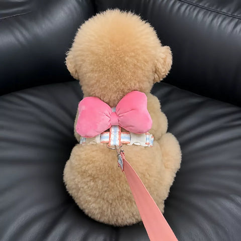Bow Vest Harness and Leash for Small Dogs