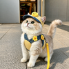 Summer Pet Harness, Leash and Hat Sets - p-00623