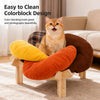Flower-Shaped Cat & Small Dog Bed with Removable Cover and Stand