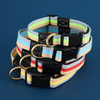 Adjustable Canvas Pet Collar