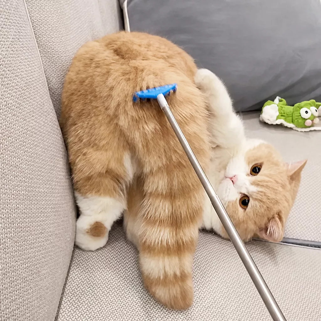 Retractable Pet Scratching Stick