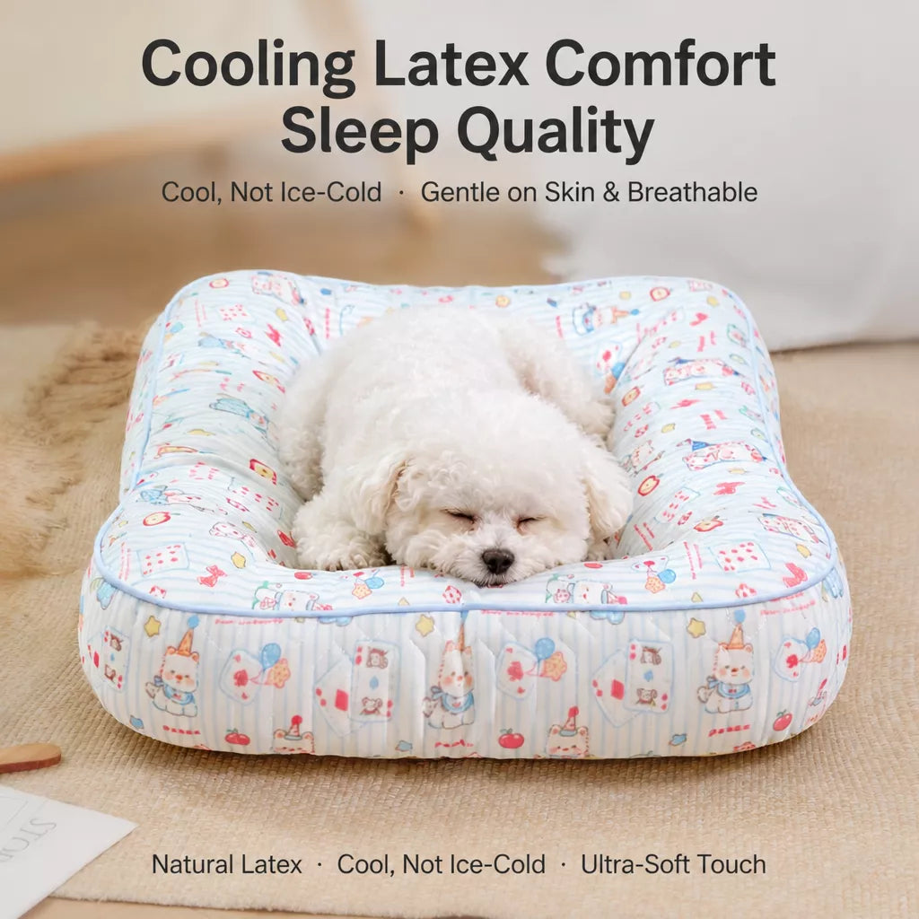 Washable Removable Small Dog Bed for Year-Round Use
