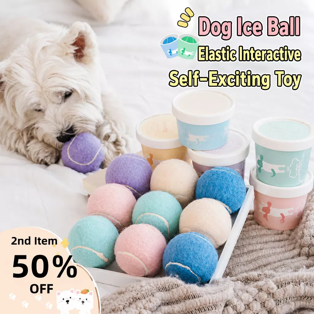 Ice Cream-Themed Interactive Dog Ball Toy