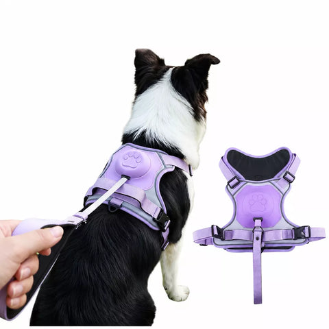 All-in-One Dog Harness with Leash