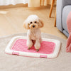 Elevated Mesh Dog Potty Tray